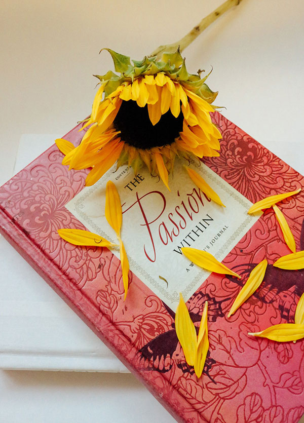Un libro titulado pasión, y sobre ello hay un girasol.